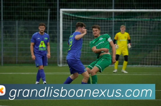 澳门新葡京APP 体育赛事宣传图